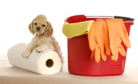 1 Time Waste Removal